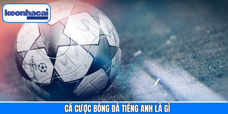 Cá Cược Bóng Đá Tiếng Anh Là Gì? Giải Thích Dễ Hiểu, Đầy Đủ