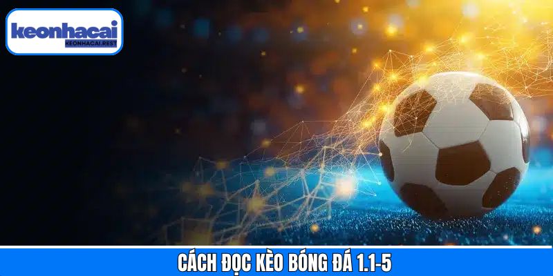 Tìm hiểu về cách thức khi đọc kèo bóng đá 1.1-5  dễ dàng
