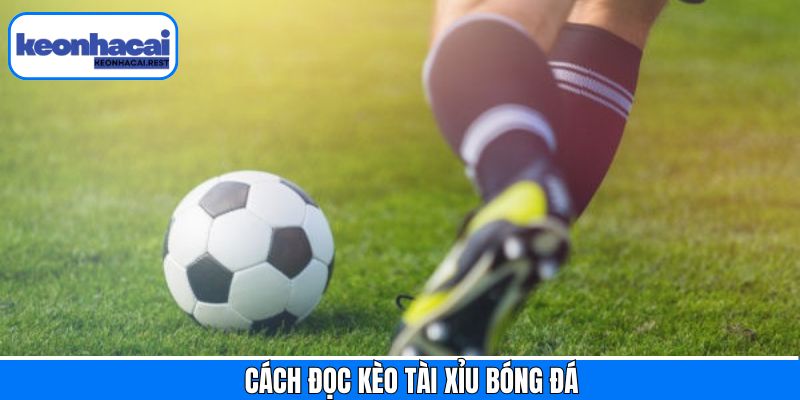 Nắm rõ về cách đọc kèo tài xỉu bóng đá chính xác