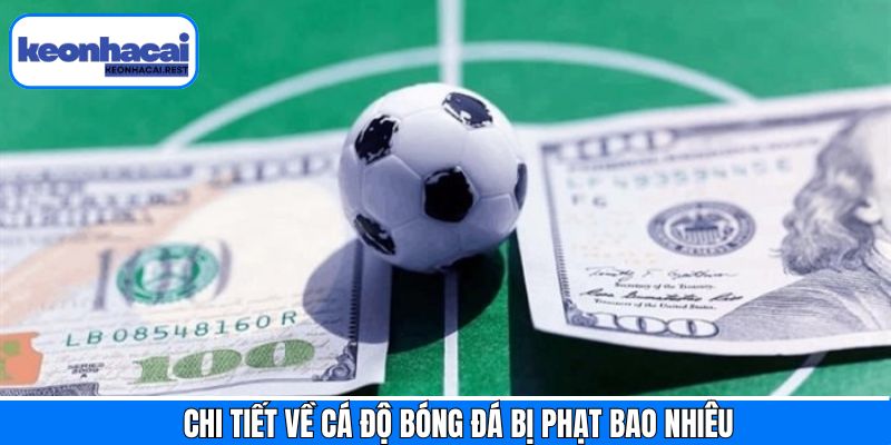 Cá độ bóng đá bị phạt bao nhiêu tiền