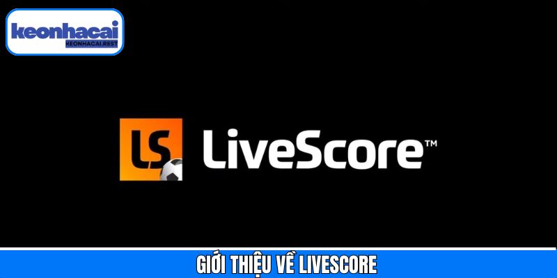 Khám phá vài điều cơ bản về Livescore