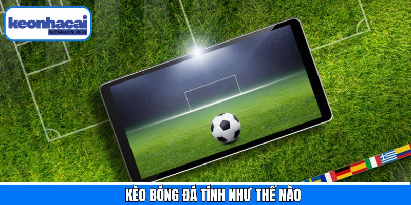 Kèo Bóng Đá Tính Như Thế Nào? Hướng Dẫn Chi Tiết Tại Keonhacai
