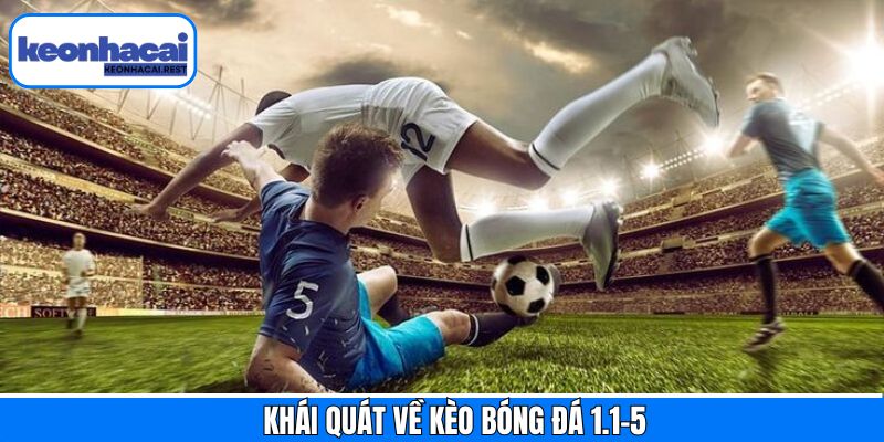 Sơ lược vời kèo bóng đá 1.1 -5