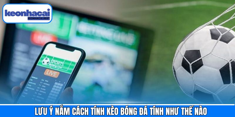 Những điều cần phải chú ý trong cách tính kèo cược 