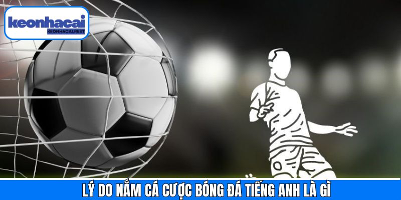 Tại sao cần tìm hiểu cá cược bóng đá tiếng anh là gì