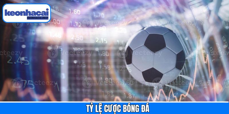 Tỷ Lệ Cược Bóng Đá - Dữ Liệu Quan Trọng Khi Đặt Kèo