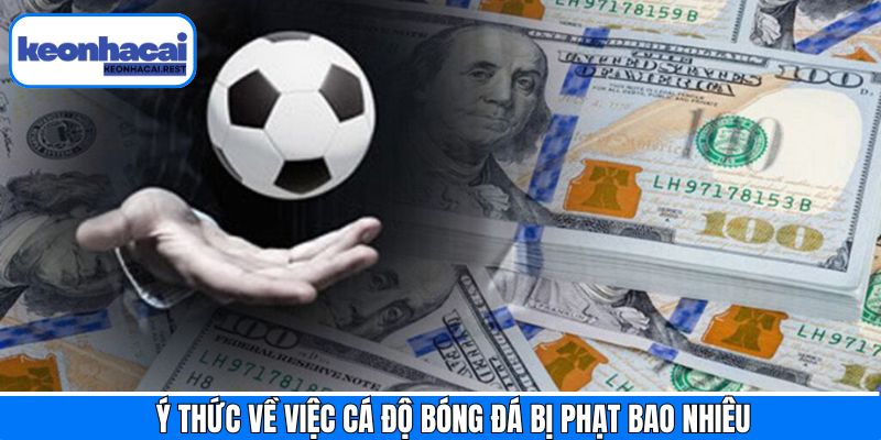 Thành viên cần có ý thức trong cá độ bóng đá